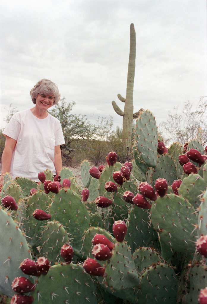 A vibrant cactus plant in full bloom representing resilience
